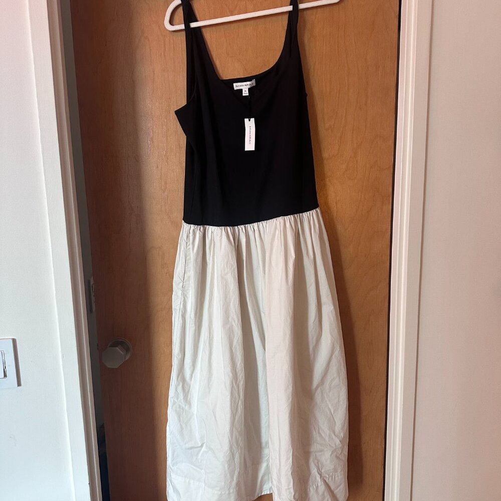 Banana Republic Drop Waist Midi Dress - Picture 6 of 6